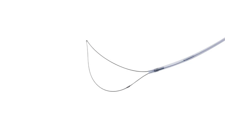 Endoscopy Cold Polypectomy Snares